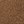 Pantherra - BROWN - image 5