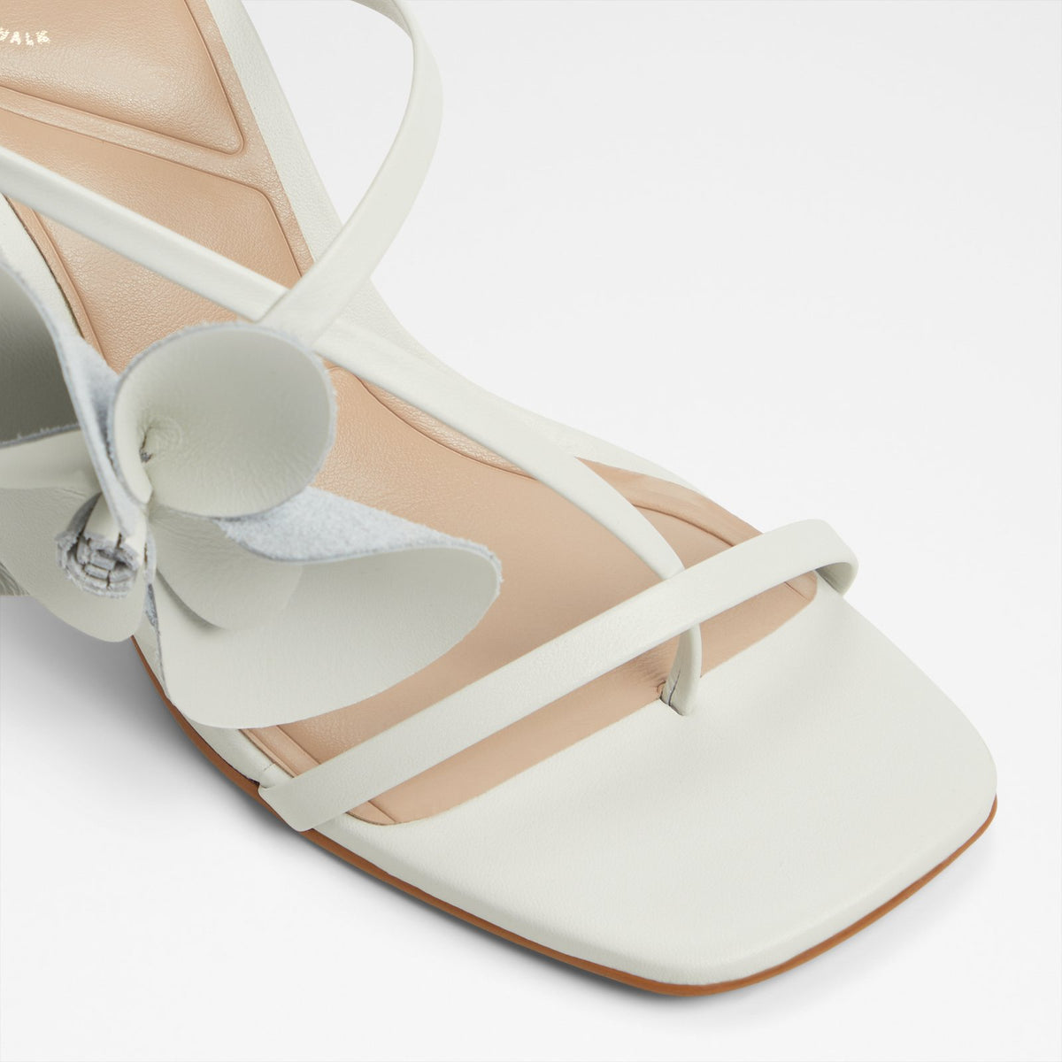Sandflower - White - image 4